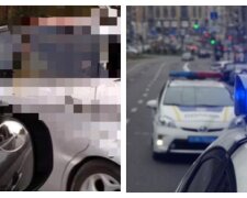 Под Киевом авто на большой скорости влетело в лося: детали и жуткие кадры