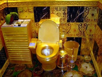 Соцмережі висміяли крадіжку золотого унітазу в охоронця “Газпрому” (фото)