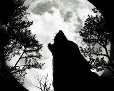 В небі над Україною зійде «Вовчий Місяць»: чому це небезпечно, з'явилася важлива заява