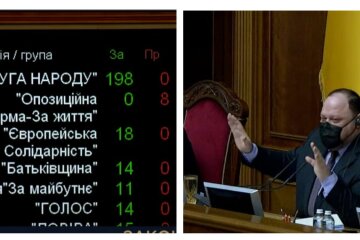 В Раде разрешили добровольцам теробороны применять оружие: детали голосования