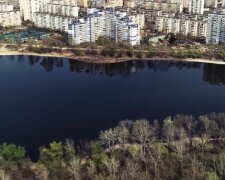 У Києві озеро забруднили небезпечною речовиною, фото: "Через підземну річку..."