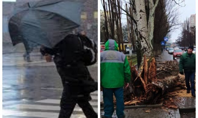 Негода накоїла бід в Одесі, повалені дерева і паралізовано рух транспорту: кадри НП