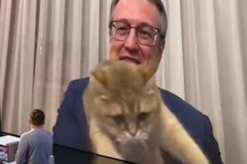 Кот Геращенко ворвался в прямой эфир и прервал выступление замминистра: видео курьеза