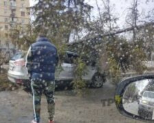 Стихия наделала беды в Харькове, кадры: пришлось вмешаться спасателям