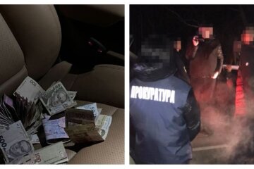 На таможне требовали деньги у главы благотворительного фонда: "Во время обыска найдены..."