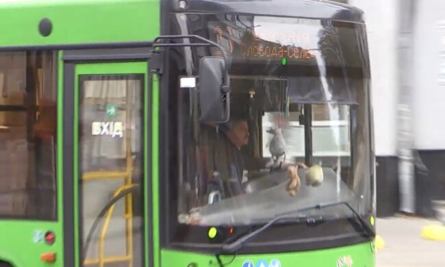 Подорожчання вартості проїзду в Житомирській області