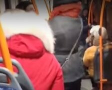 Пенсионерки устроили драку в троллейбусе Одессы: бойня попала на видео