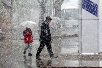 погода, мокрый снег