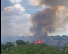 Сильный пожар полыхает на Одесчине: кадры и что известно о ЧП