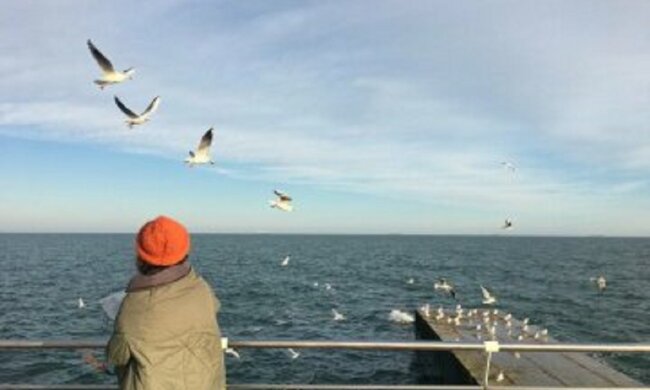 Погода в Одессе: синоптики порадовали прогнозом на 11 января