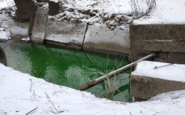 "Вместо воды - зеленоватая жижа": в Киеве река изменила цвет и завонялась, фото