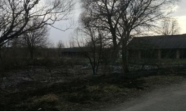 Пожежі під Києвом не вщухають, фото палія злили в мережу: "Вивіз тліюче сміття"