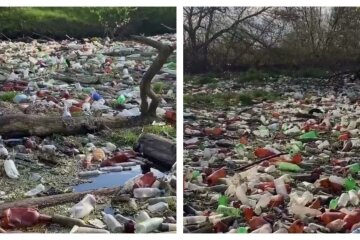 Тонны мусора скрыли реку под Харьковом, фото: "скопилось на несколько грузовиков"