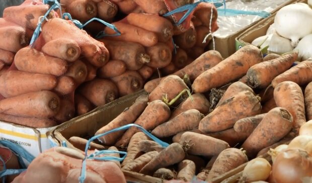 ����: politeka.net