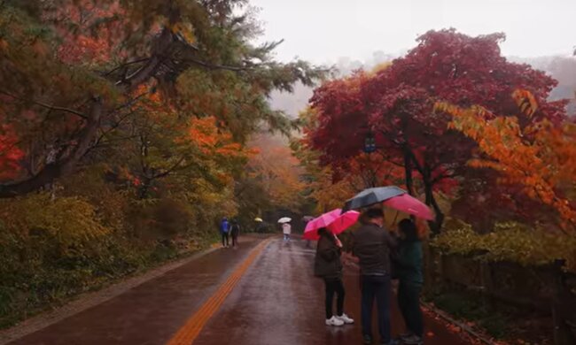 осень, люди, погода