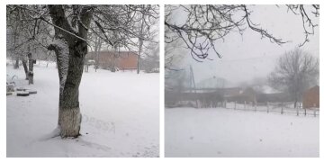 "Можно доставать санки": снежная стихия накрыла Одесчину, кадры природной аномалии