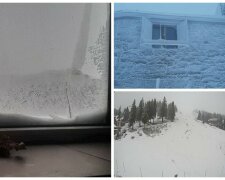 Снег обрушился на украинскую землю, видимость упала до 40 метров: чарующие фото