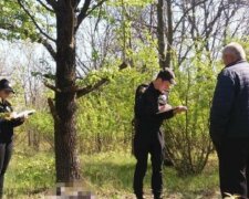 Одесситов начнут штрафовать в лесу:  в каких случаях и как будут наказывать