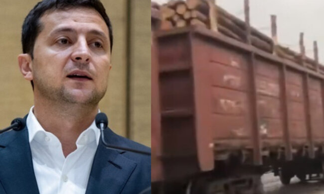 "Президент цього не бачить?": вагони під зав'язку забиті "кругляком" продовжують вивозити з України, кадри
