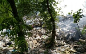 Екологічна катастрофа назріває на Харківщині: "комунальник організував сміттєзвалище"