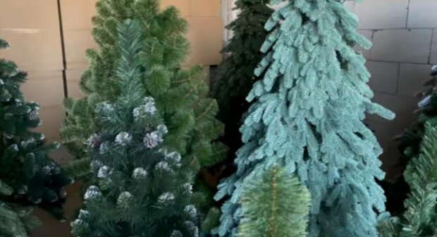 ����: politeka.net