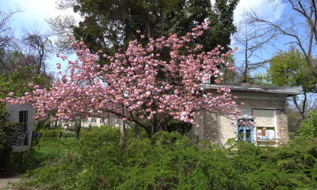 Прогноз погоды на неделю с 27 апреля по 3 мая в Запорожье.