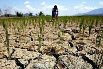 Семінар "Смарагдова мережа України": пошкодження, відновлення та збереження природоохоронних територій