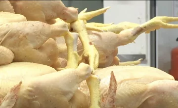 Дефицит мяса в Харьковской области