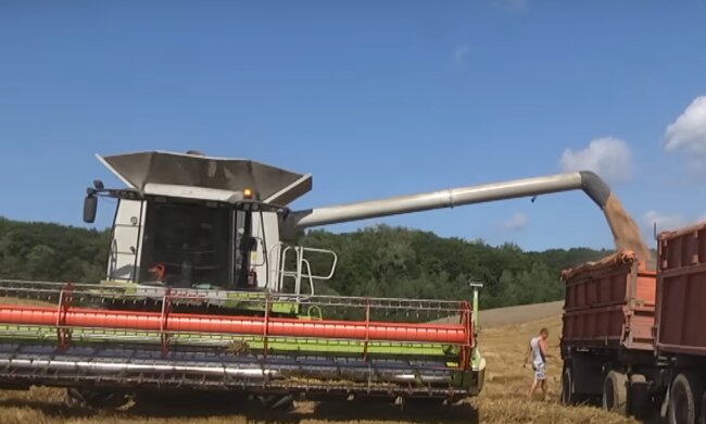 Цены на хлеб в Украине могут вырасти