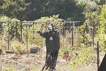 Днепрянка встретила во дворе пугающего "гостя", кадры: "хорошо, что бабушка не видела"