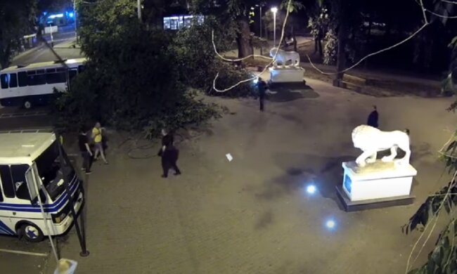 Дерево рухнуло на мужчину в центре Одессы: момент попал на видео