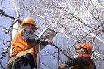 Графіки відключення електроенергії у червні в Одеській області