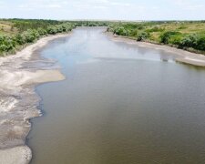 Подрыв Каховской ГЭС: вода стала ядом, а дельфины – жертвами