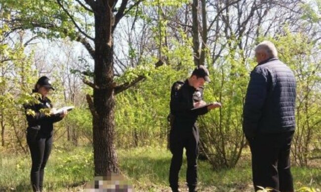 Одеситів почнуть штрафувати в лісі: в яких випадках і як будуть карати