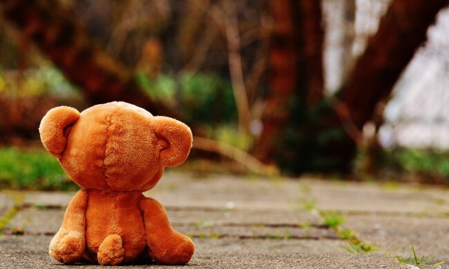 игрушка, мишка