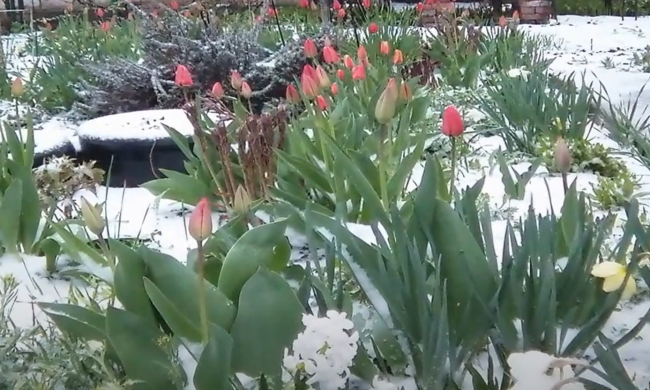 Прогноз погоди у Дніпрі 9 березня.