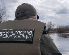 Держекоінспекція