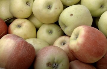 Подорожание продуктов в Харьковской области