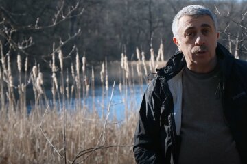 Евгений Комаровский