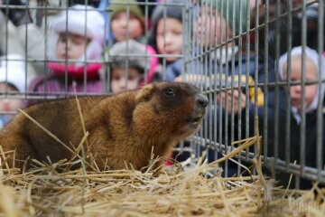 какой день 2 февраля