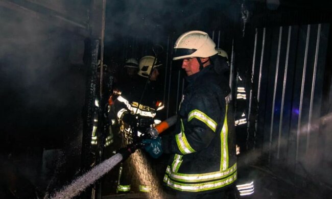 В Киеве огонь охватил вольер для собак, фото ЧП: "Выжить удалось не всем"
