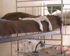 Безкоштовне житло для ВПО у Хмельницькій області