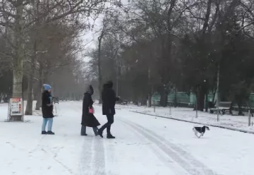 Прогноз погоди на тиждень з 12 по 18 січня в Києві