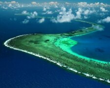 Екологічна катастрофа: Великий Бар’єрний риф на межі зникнення (відео)
