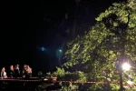 Непогода забрала жизни людей во Львове: дерево упало на молодую пару