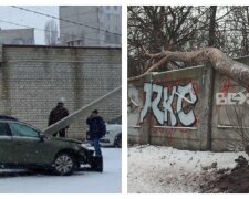 "Вирвало з коренем": шквальний вітер наробив біди на Харківщині, фото руйнувань