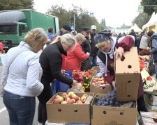 Дефицит фруктов в Винницкой области