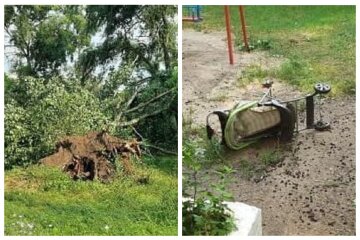 Ураган лютував на Одещині, вітер вирвав дерева з корінням: наслідки стихії