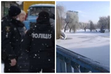 "Бедные животные": собак массово потравили в Киеве, ищут свидетелей