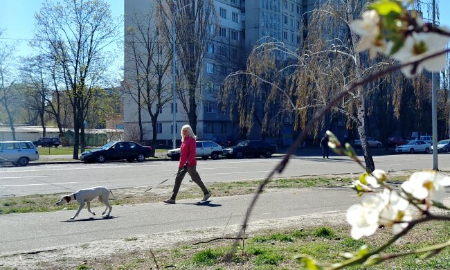 весна погода прогулянка вигул собак